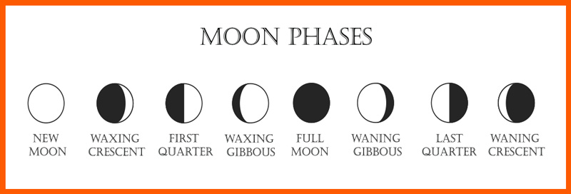 Murfreesboro Preschool Studies the Moon